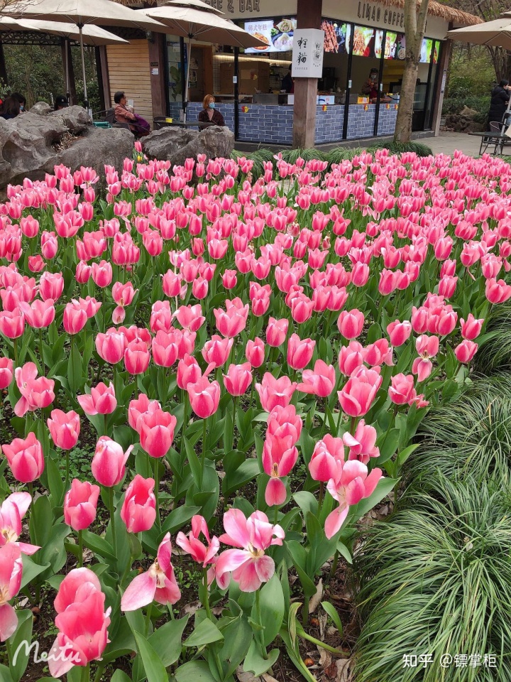 pc外包公司_外包公司不能入職客戶公司_科藍(lán)公司是外包公司嗎