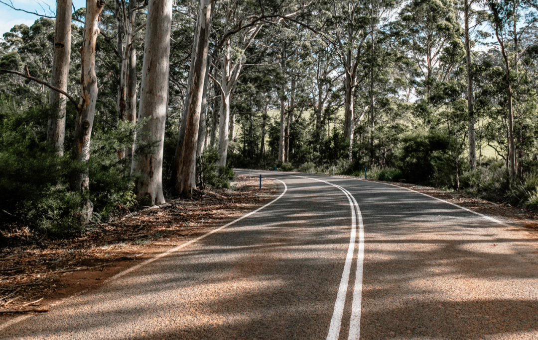 it服務(wù)目錄_it服務(wù)合同范本_it服務(wù)