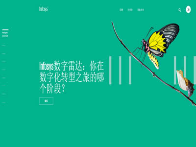 印孚瑟斯技術(shù)有限公司